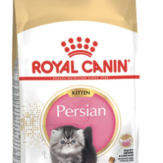 Royal Canin Cat Breed Secco Kitten Persian Gr 400