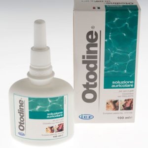 Icf Otodine Soluzione Auricolare Ml 100