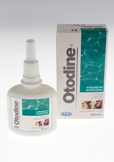 Icf Otodine Soluzione Auricolare Ml 100