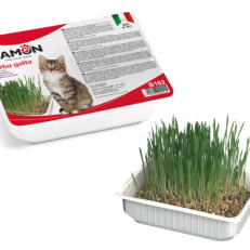 Camon B162 Erba Gatto  Confezione Da 24pz