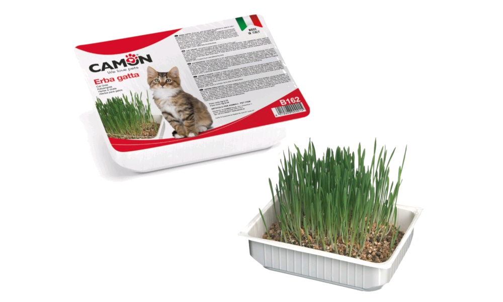 Camon B162 Erba Gatto Confezione Da 24pz