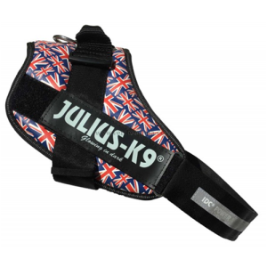 Julius K-9 Mis. 1 Bandiera Inglese 23-30 Kg