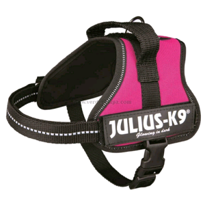 Trixie Tx150708 Julius-k9 Pettorina,baby 1/xs:30-40cm Fucsia