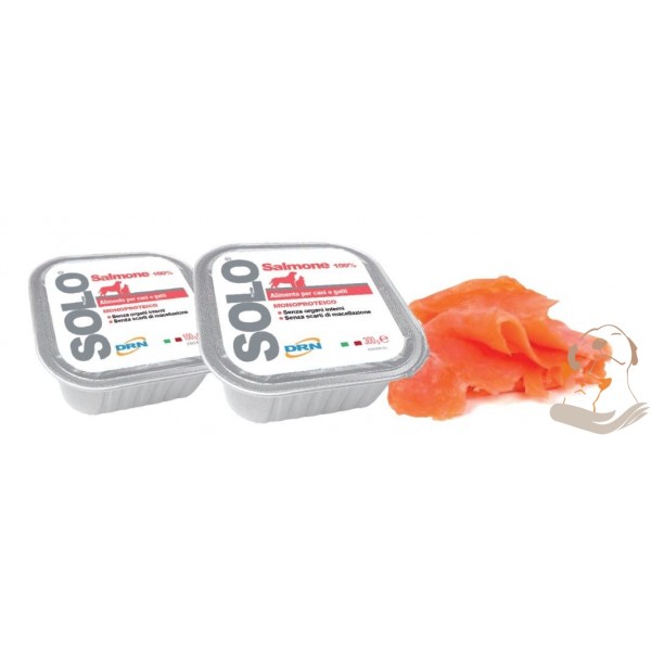 Drn Dog Cat Umido Vaschetta Solo Salmone Gr 300