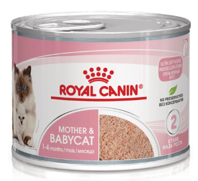 Royal Canin Cat Umido Lattina Mousse Babycat Gr 195