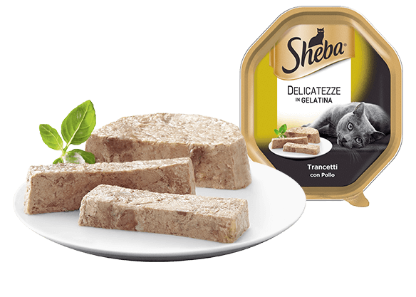 Sheba Vasc Delicatezze Trancetti Pollo Gelatina Gr 85