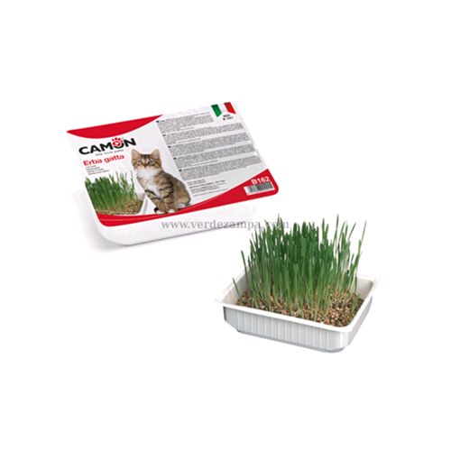 Camon B162 Erba Gatto Confezione Da 24pz - immagine 3