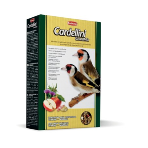 Padovan Grand Mix Cardellini Gr 350