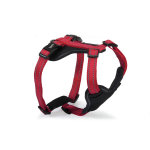Camon Dc175/01 Pettorina Neoprene 5 Regolazioni Reflex - Rossa - Xl - immagine 2