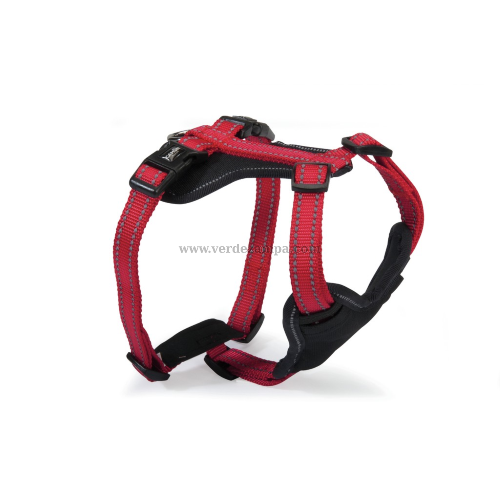 Camon Dc175/01 Pettorina Neoprene 5 Regolazioni Reflex - Rossa - Xl - immagine 3