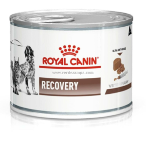 Royal Canin Dog Cat Veterinary Umido Lattina Recovery Gr 195