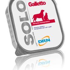 Drn Dog Cat Umido Vaschetta Solo Gr 100 - GALLETTO