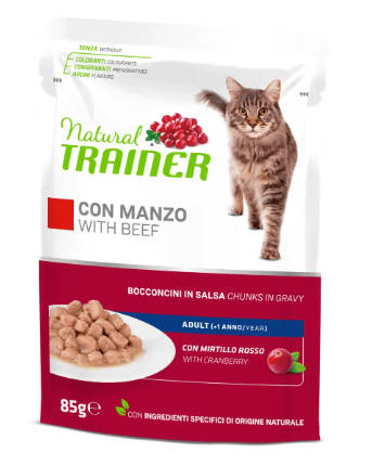 Trainer Natural Cat Busta Gr 85