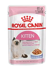 Royal Canin Cat Umido Busta Kitten Gr 85 - JELLY