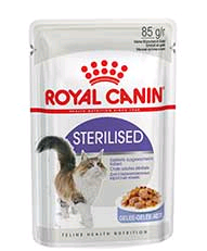 Royal Canin Cat Umido Busta Gr 85 - JELLY STERILISED