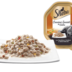 Sheba Vasc Speciali Gr 85
