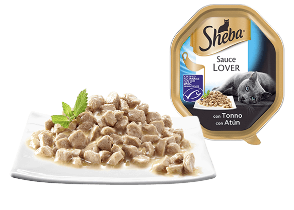 Sheba Vasc Sauce Lover Gr 85