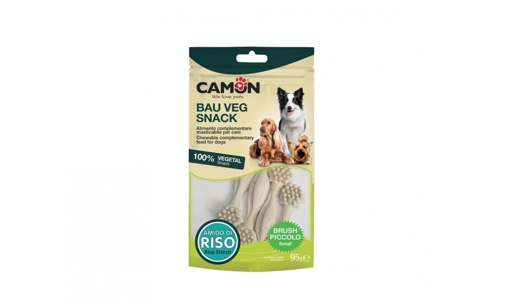 Camon Brush