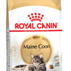 Royal Canin Cat Breed Secco Adult Maine Coon - KG 2