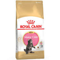 Royal Canin Cat Breed Secco Kitten Maine Coon - GR 400