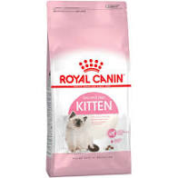 Royal Canin Cat Secco Kitten - GR 400
