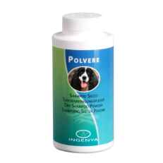 Camon Ic021 Polvere Pulente
