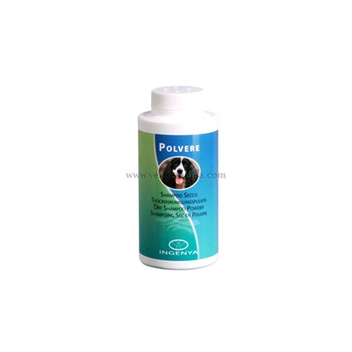 Camon Ic021 Polvere Pulente - immagine 3