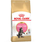 Royal Canin Cat Breed Secco Kitten Maine Coon - immagine 2