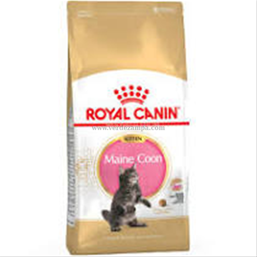Royal Canin Cat Breed Secco Kitten Maine Coon - immagine 3