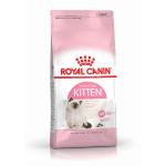 Royal Canin Cat Secco Kitten - immagine 2