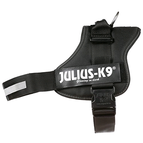 Trixie Julius-k9